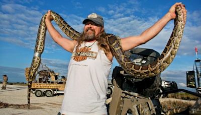 A look at some of the biggest Burmese pythons ever caught during Florida hunt