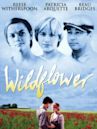 Wildflower (1991 film)