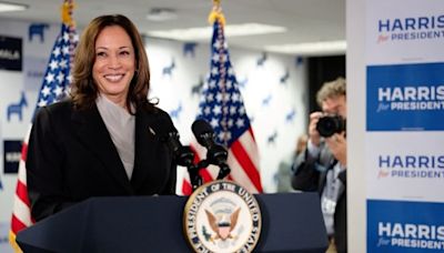 Who might Kamala Harris choose as her vice-presidential running mate? | CBC News