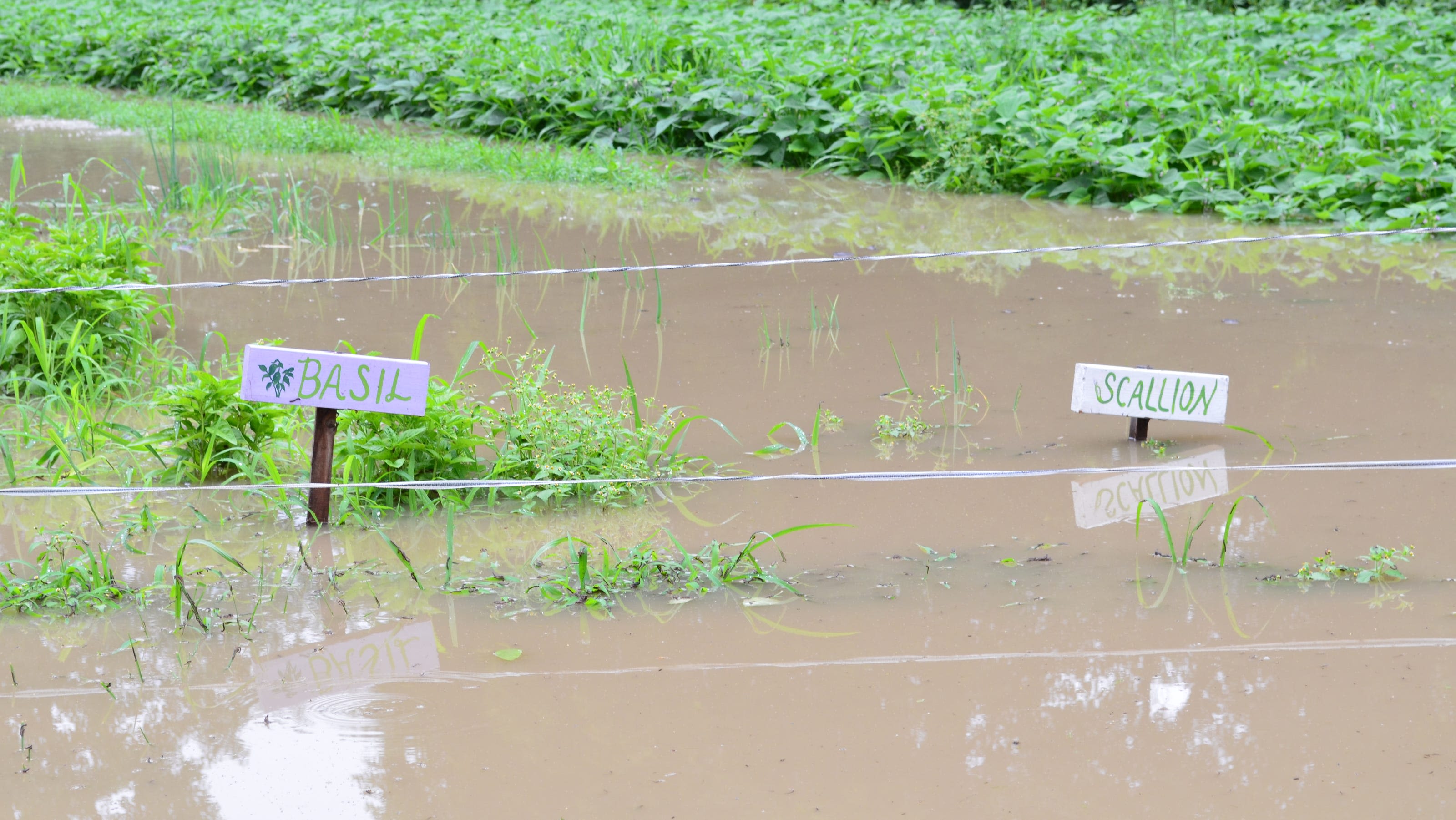 July floods cost Vermont farmers $5 million with Chittenden County topping list