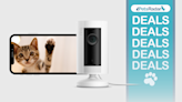 This camera lets you talk to your pet from anywhere in the world – and it’s 50% off this Amazon Prime Day