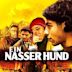 Ein nasser Hund