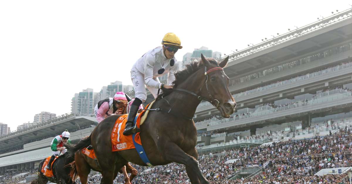 Hong Kong Racing Study Guide: Champions Aplenty This Weekend At Sha Tin