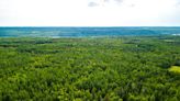 Patch of pristine bush in central Alberta donated to become nature preserve