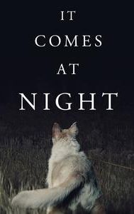 It Comes at Night