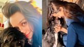 Shraddha Kapoor Shares Adorable Pics With Her Pet On Friendship Day: ‘Kaun Kehta Hai Ki Sabse Acche Dost…’ - News18