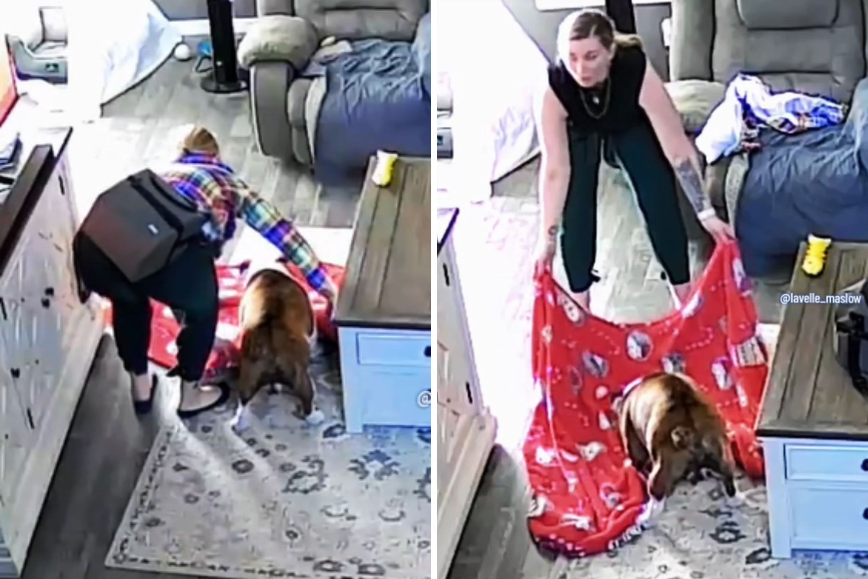 Woman comes home after 12-hour shift, dog greets her in worst way possible