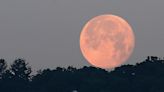 When is the May full moon and why is it a flower moon? Viewing from Florida