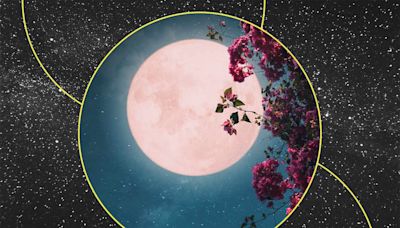 All About May's New Moon and What It Means for Your Zodiac Sign
