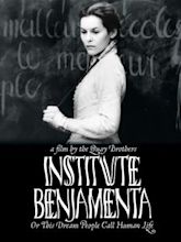 Institute Benjamenta