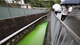 Western Japan river turns lime green