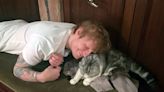 Ed Sheeran Shares Rare Photo of Taylor Swift's 'Private' Cat Meredith Grey