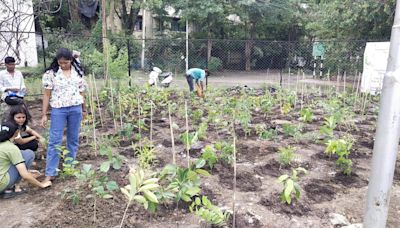 Doctors’ Day Special: Indore Doctors Pave Way For A Green And Healthy Habitat