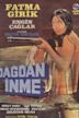 Dagdan Inme