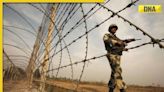 BSF officer, jawan die during patrol along India-Pakistan border in Gujarat, what exactly happened?