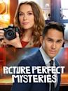 Picture Perfect Mysteries