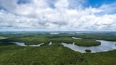 BID Invest emite R$ 50 mi em bonds para negócios na Amazônia