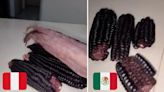 Mexicano compara el maíz morado peruano con el de nuestro país; revela cuál es el mejor y se hace viral