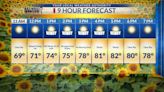 Friday 9-hour forecast: Possible dust but winds will linger