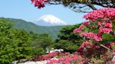 A mountain of rubbish: Japan introduces visitor cap at Mount Fuji to crack down on pollution