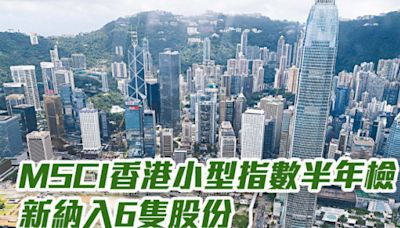 MSCI香港小型指數半年檢新納入6隻股份 中國指數納33隻