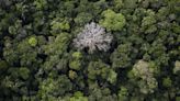 Brazil, France launch $1.1 bln program to protect Amazon rainforest