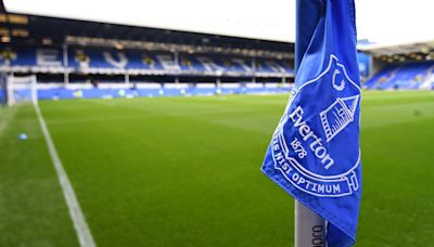 Crystal Palace co-owner confirms interest in Everton