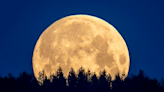 Go outside and look up for the rise of the full Flower Moon