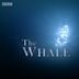 The Whale (2013 film)