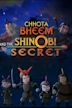 Chhota Bheem and the ShiNobi Secret