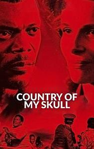 In My Country (2004 film)