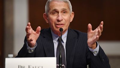 Fauci among Muhammad Ali Humanitarian Awards honorees. Check out the full list