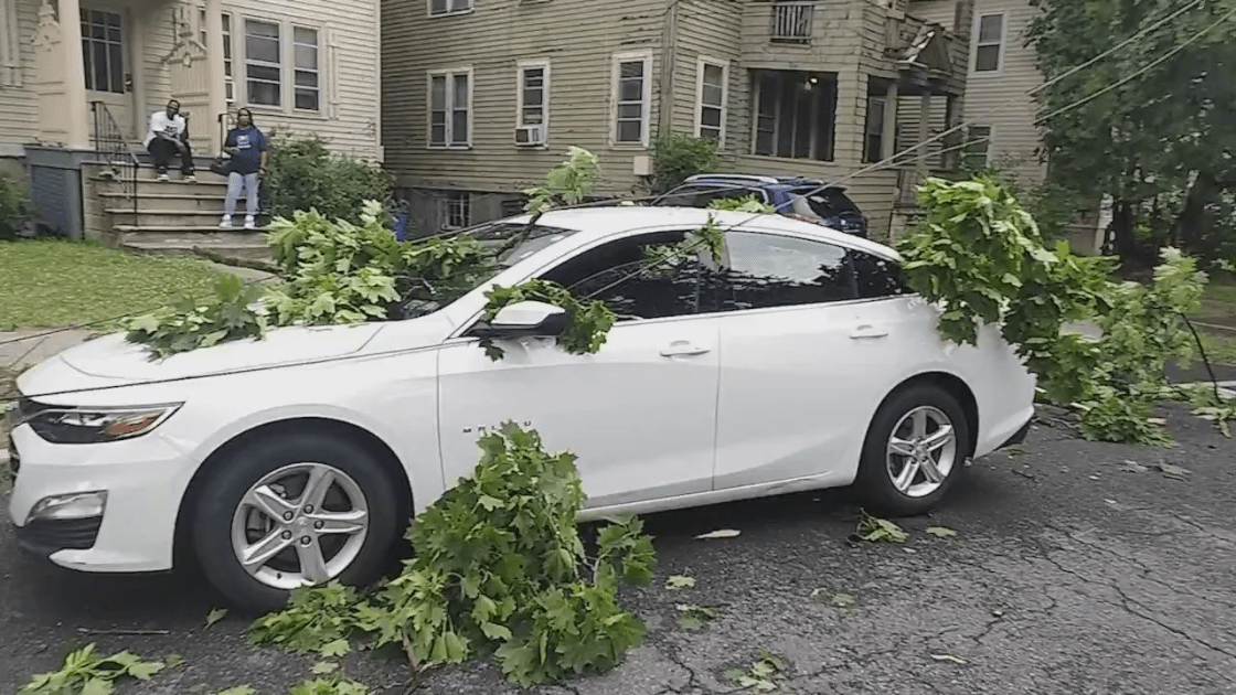 Albany provides update on severe weather damage