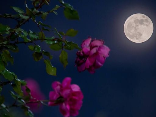 When to see April’s full moon, the Pink Moon