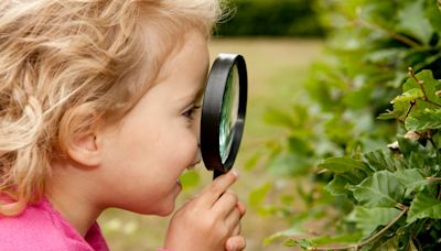 Que los niños jueguen con plantas: curiosidad, aprendizaje y disfrute