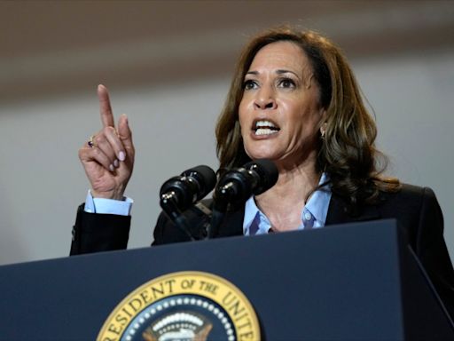 Opinion - Kamala Harris’s ‘unrealized gains tax’ — so dumb it’s truly historic