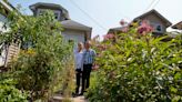 Museum researchers enlist hundreds of home gardeners in fight to save the iconic monarch butterfly