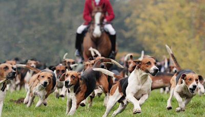 Anti-hunting group hits out at National Trail Hunting Day