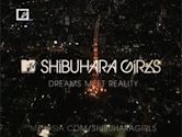 Shibuhara Girls
