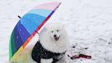 Snow storms to sweep much of England after coldest night of the year, while flooding warning issued in London