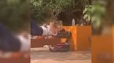 Oso negro sorprende a estudiante de Nuevo León mientras descansaba en una jardinera