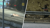 Motociclista se estrella tras golpear piedras arrojadas por un hombre en la autopista 110