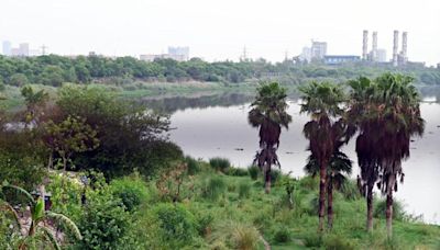 DDA plans riverfront project on Yamuna floodplains near Millennium Park