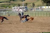 Steer wrestling