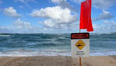 20-year-old injured in potential shark attack in Hawaii