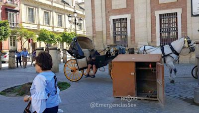 Pacma pide que los coches de caballos no circulen en Sevilla durante olas de calor