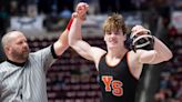 YAIAA to be represented by two finalists at Saturday's PIAA wrestling championships