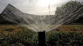 City officials lower water restrictions to Stage 2, allowing some outdoor watering | CBC News