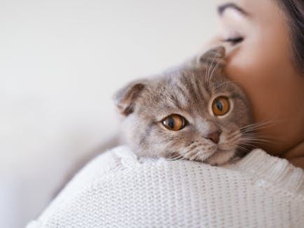 Why cats meow at humans more than each other