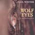 Wolf Eyes: A Retrospective